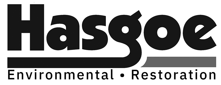 Hasgoe Environmental Restoration