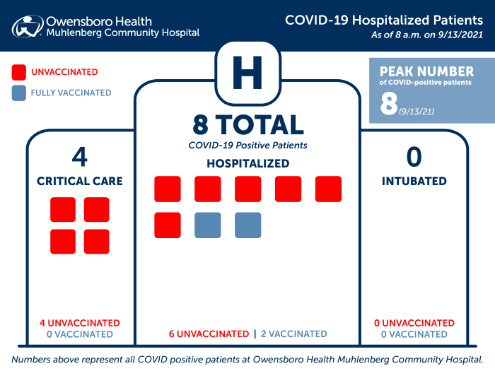Hospitalized COVID Patients