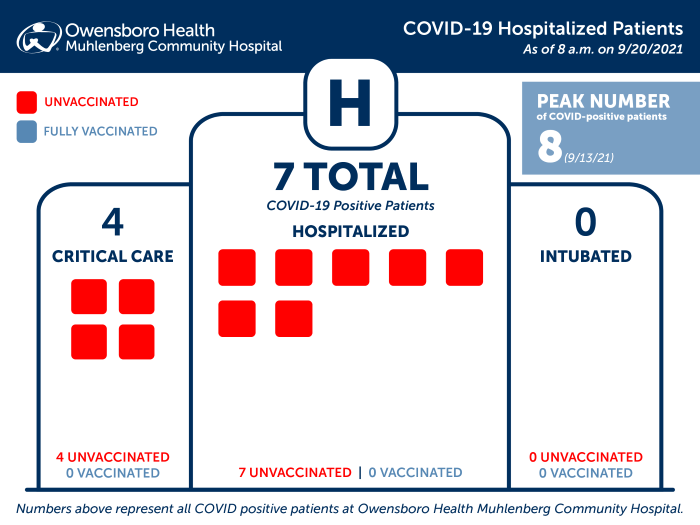 Hospitalized COVID Patients