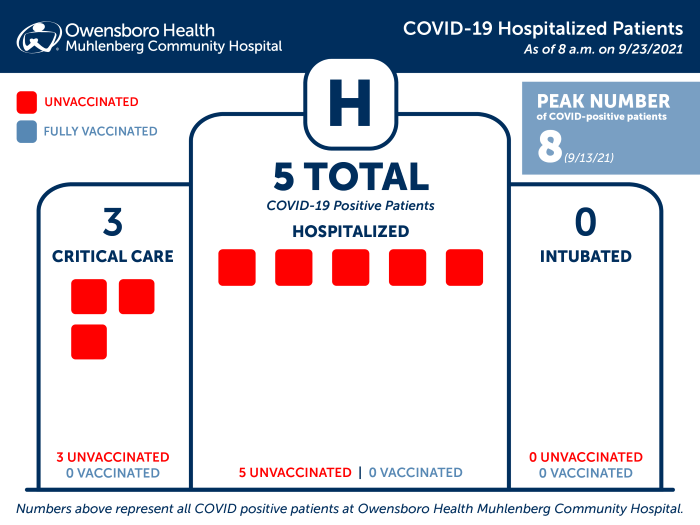 Hospitalized COVID Patients