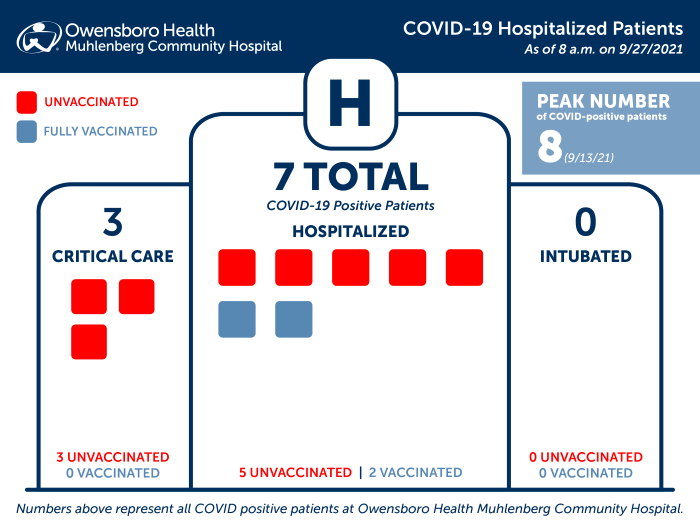 Hospitalized COVID Patients