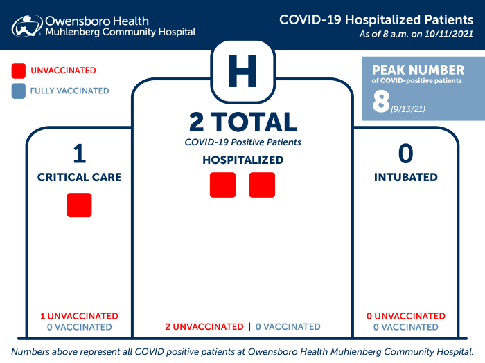 Hospitalized COVID Patients