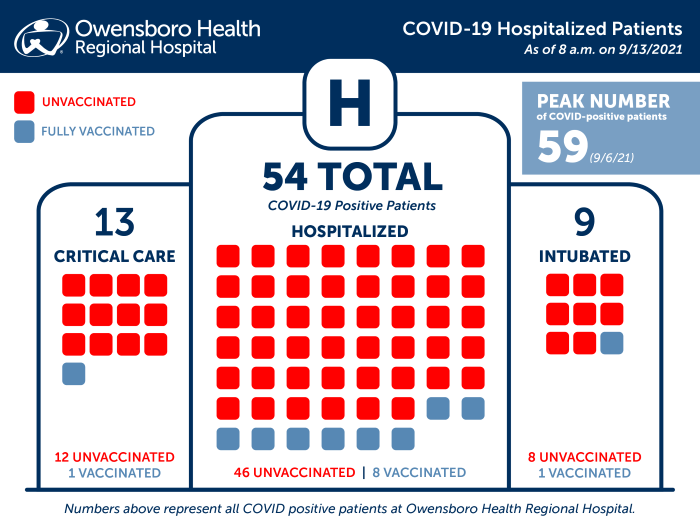 Hospitalized COVID Patients