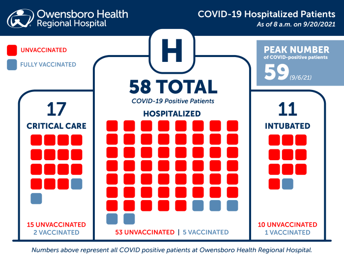 Hospitalized COVID Patients