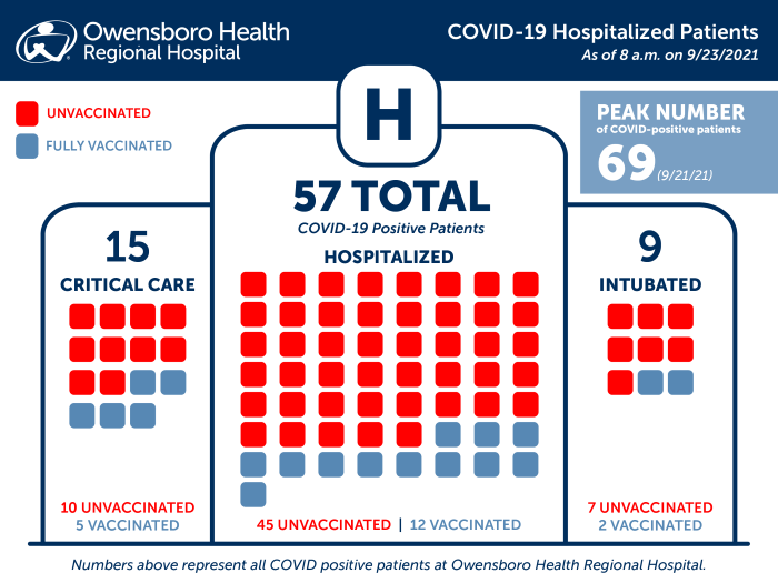 Hospitalized COVID Patients