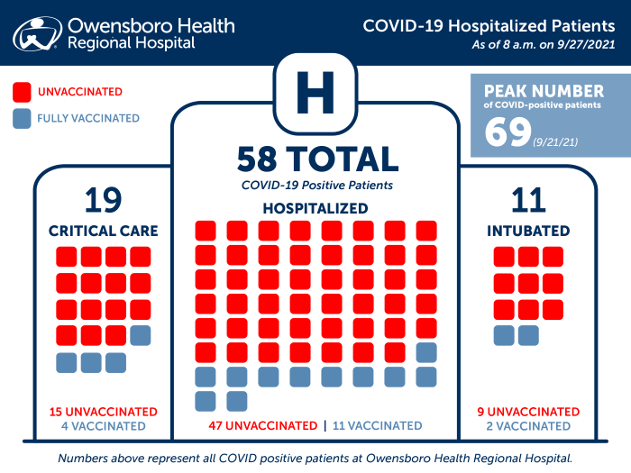 Hospitalized COVID Patients