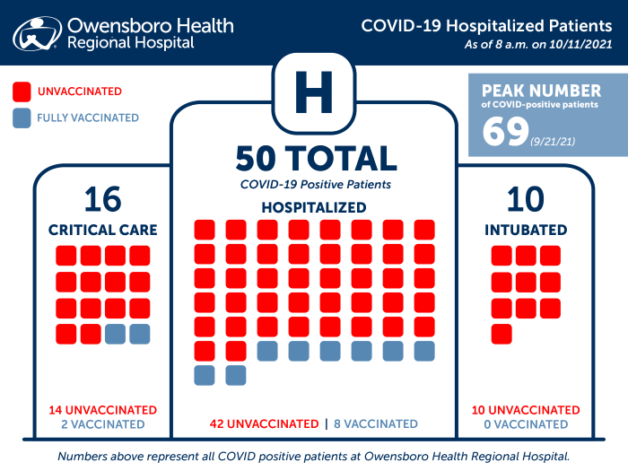 Hospitalized COVID Patients