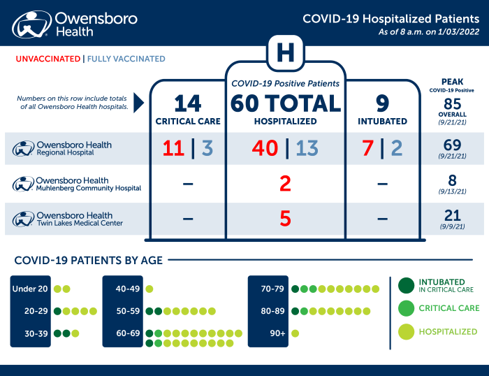 Hospitalized COVID Patients