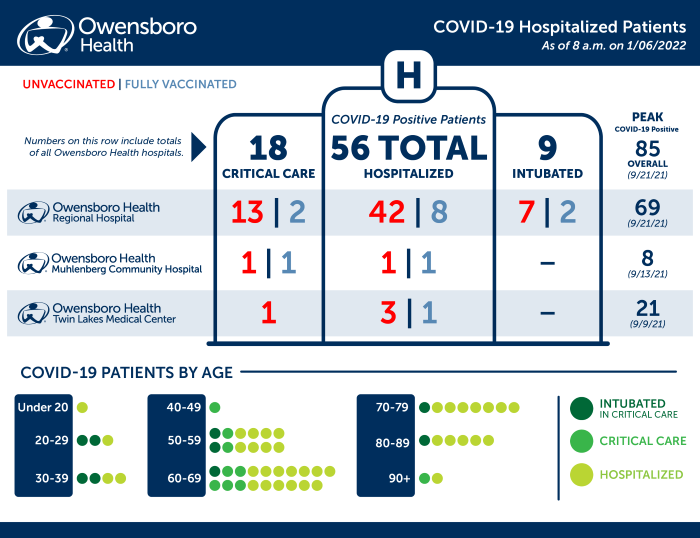 Hospitalized COVID Patients