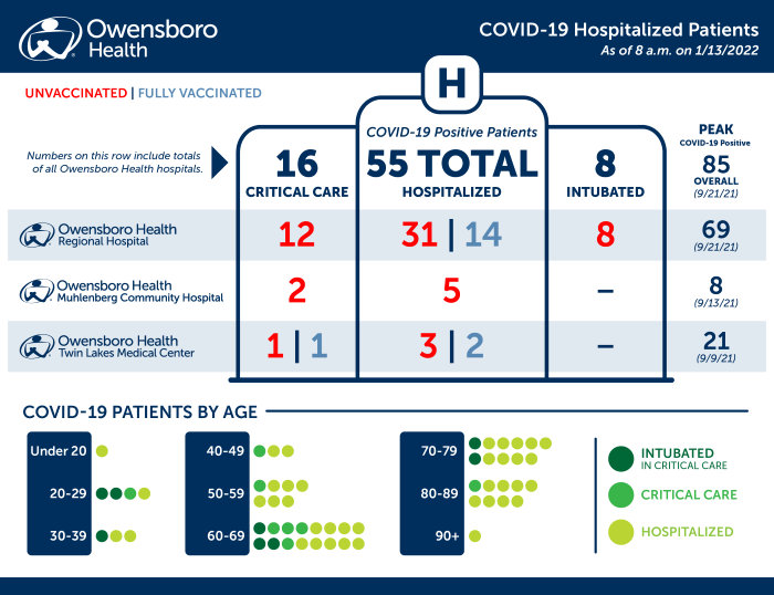 Hospitalized COVID Patients