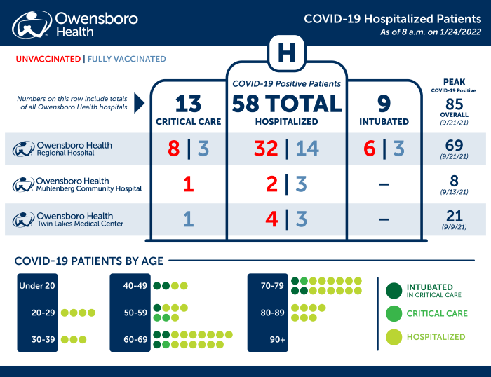 Hospitalized COVID Patients