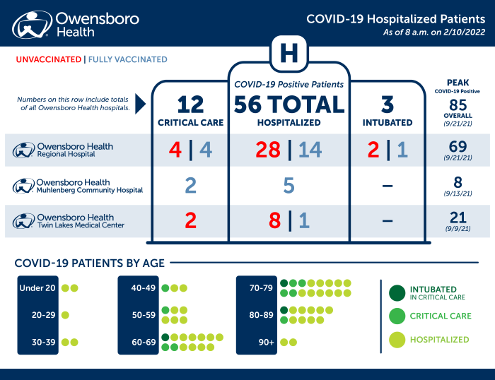 Hospitalized COVID Patients