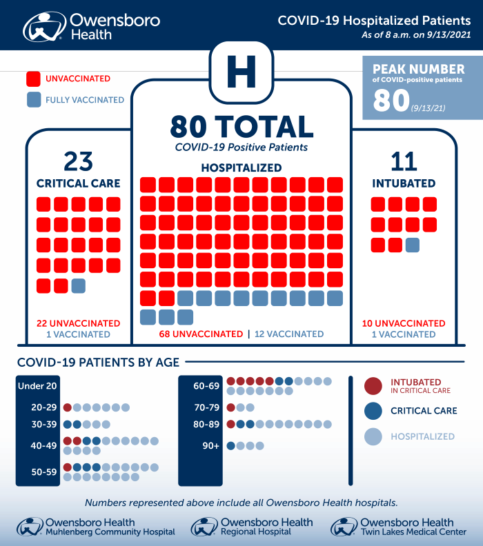 Hospitalized COVID Patients