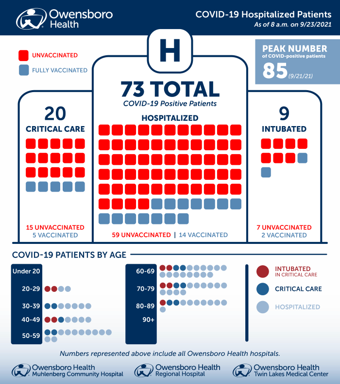 Hospitalized COVID Patients