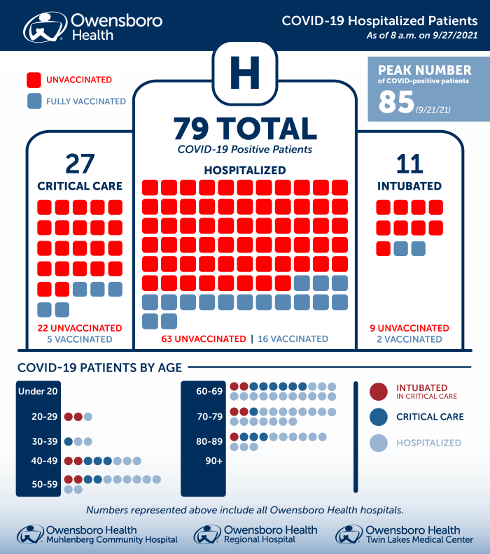 Hospitalized COVID Patients