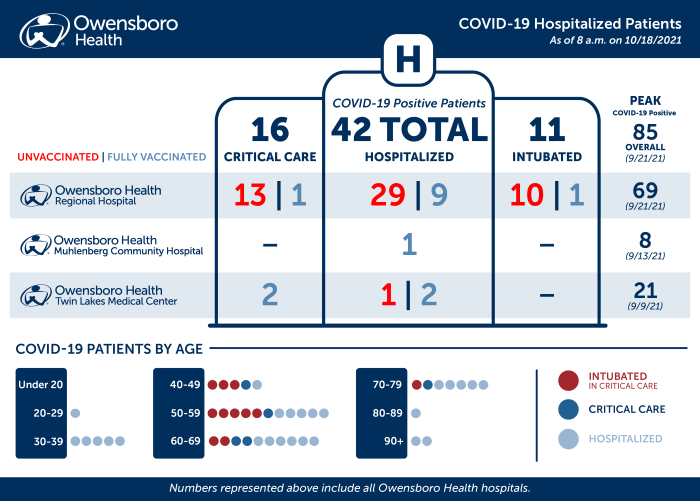 Hospitalized COVID Patients