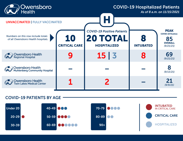 Hospitalized COVID Patients