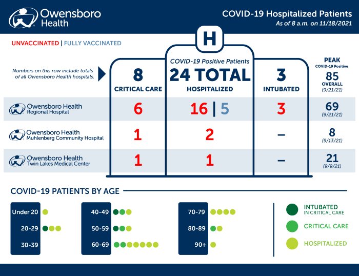 Hospitalized COVID Patients