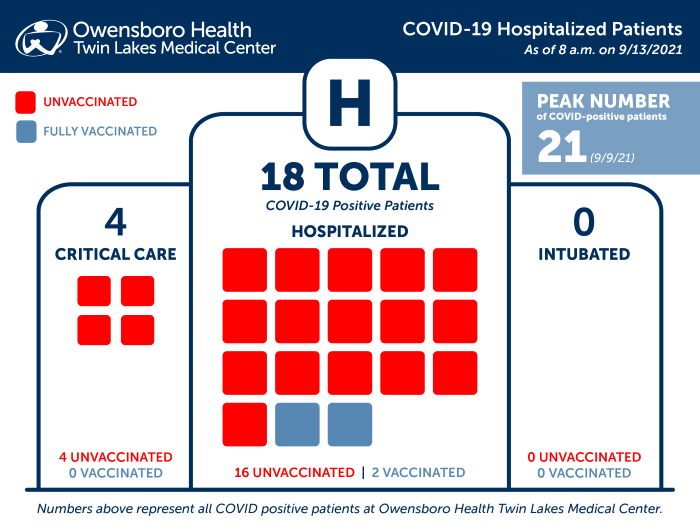 Hospitalized COVID Patients