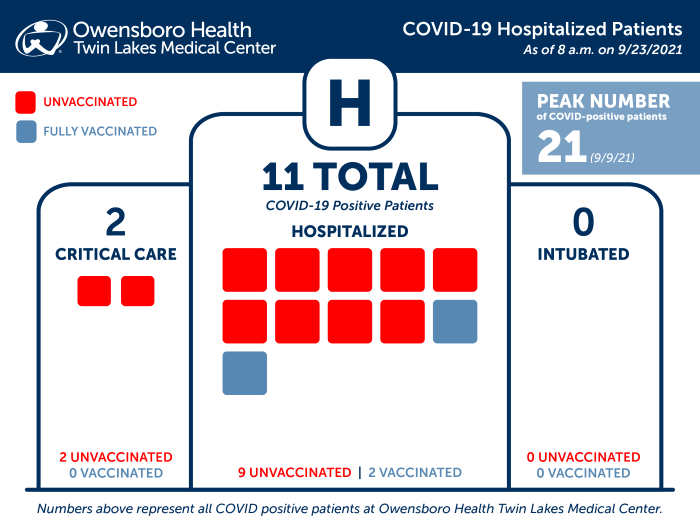 Hospitalized COVID Patients