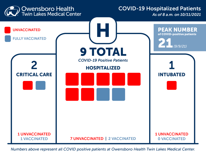 Hospitalized COVID Patients