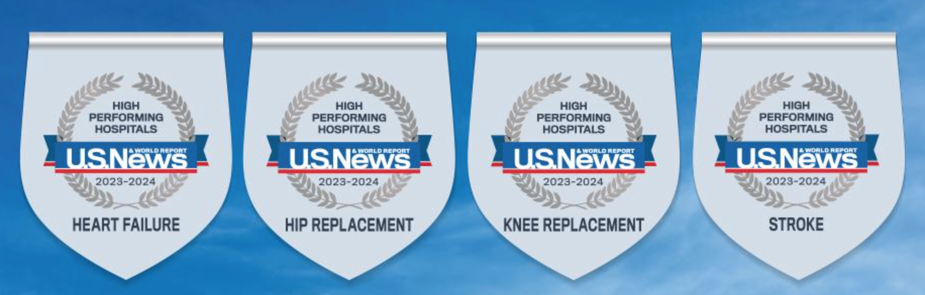 US News award emblems