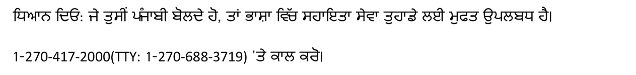 Punjabi helpline text
