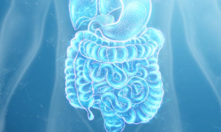 Gastroenterology Card Image